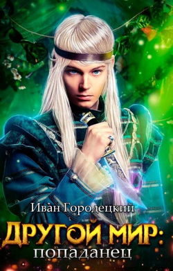 Попаданец - Обложка