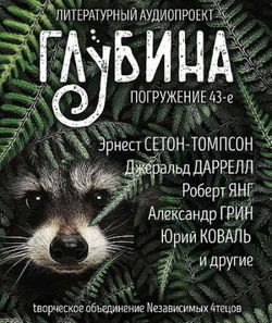 ГЛУБИНА. Погружение 43-е - Обложка