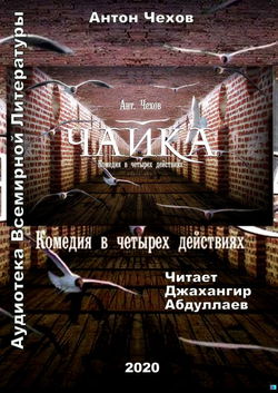 Чайка - Обложка