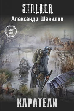 S.T.A.L.K.E.R. Каратели - Обложка