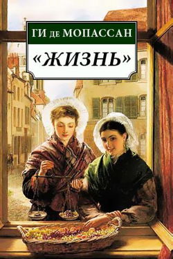 Жизнь - Обложка