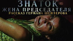 Знаток: Жена председателя - Обложка