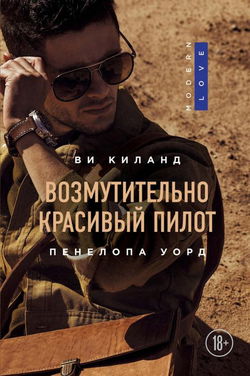 Возмутительно красивый пилот - Обложка