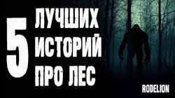 Страшные истории про лес - Обложка