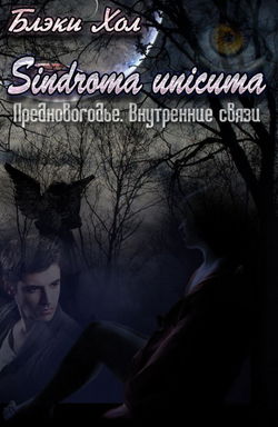 Предновогодье. Внутренние связи - Обложка