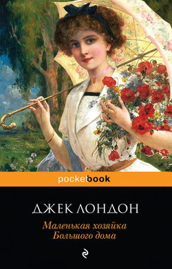 Маленькая хозяйка большого дома - Обложка