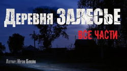 Деревня «Залесье» - Обложка