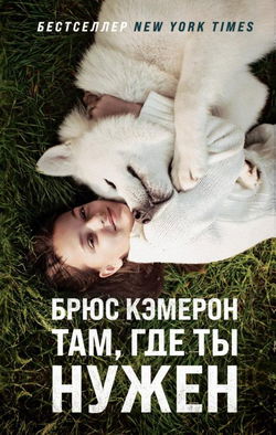 Там, где ты нужен - Обложка