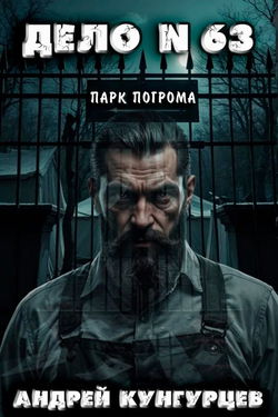 Дело №63: Парк Погрома - Обложка