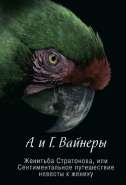 Женитьба Стратонова, или Сентиментальное путешествие невесты к жениху - Обложка